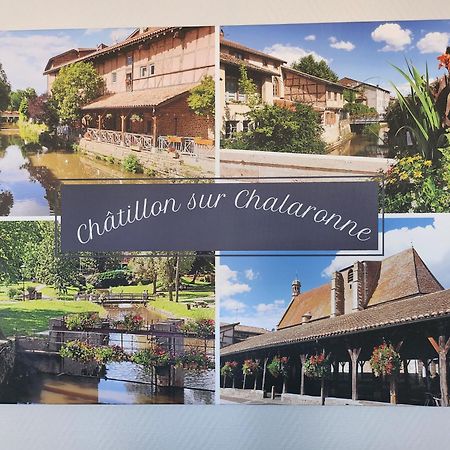 Ferienwohnung L'@Ppart Châtillon-sur-Chalaronne Exterior foto
